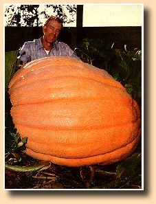 Father of the Giant pumpkin Howard Dill